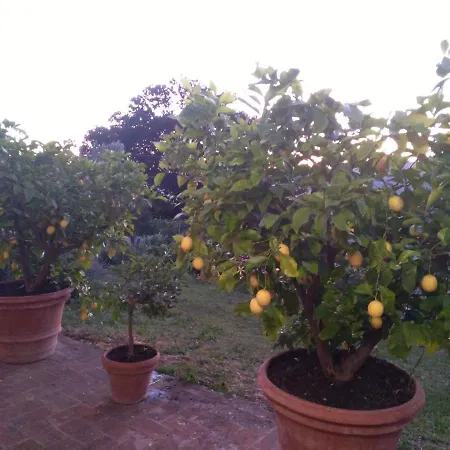 La Casa Dei Nonni