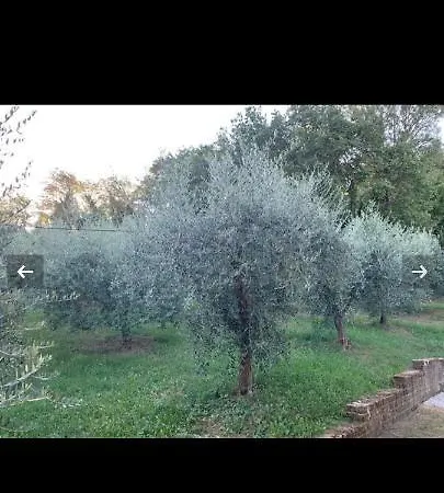 Apartment La Casa Dei Nonni Montepulciano