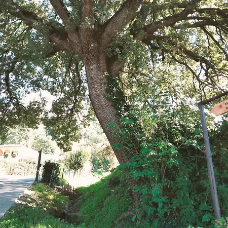 La Casa Dei Nonni * Montepulciano