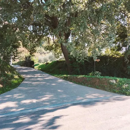 Apartmán La Casa Dei Nonni *