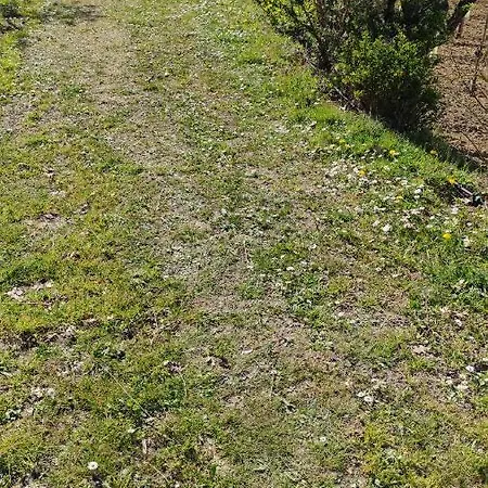 La Casa Dei Nonni Lägenhet Montepulciano Stazione
